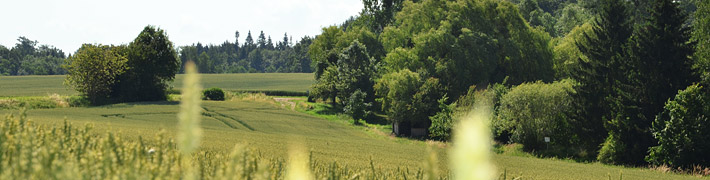 Eine weitläufige, grüne Landschaft mit Feldern und üppigen Bäumen erstreckt sich unter einem klaren Himmel.